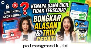 Solusi Ampuh Mengatasi Fitur DANA Cicil yang Hilang agar Kembali Muncul Sekarang Juga